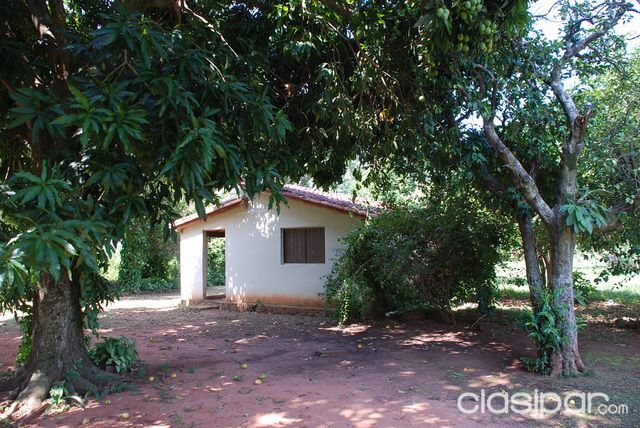 1 has. y media para casa quinta, sobre asfalto — foto 3