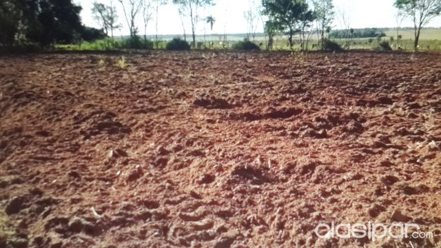 Urgente vendo Propiedad para ganado — foto 3