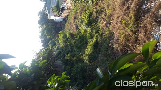 EXTENSO TERRENO A METROS DEL SUPERMERCADO STOCK DE FELIX BOGADO, IDEAL PARA DEPARTAMENTOS, DUPLEX — foto 3