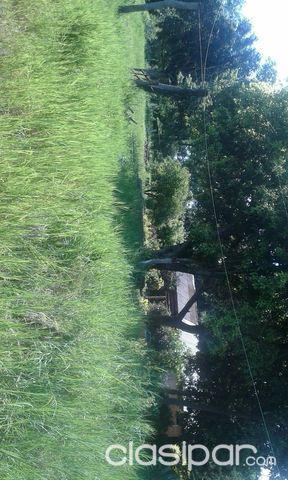 VENDO PROPIEDAD RURAL EN YATAITY DEL NORTE — foto 2