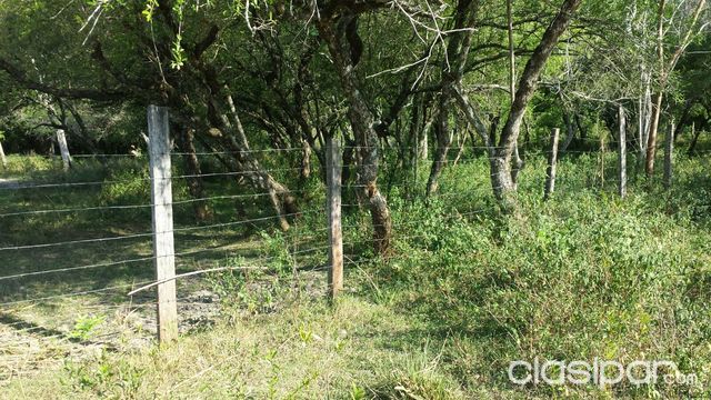 VENDO PROPIEDAD RURAL EN YATAITY DEL NORTE — foto 3