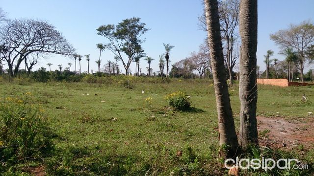TERRENO EN AREGUA — foto 3