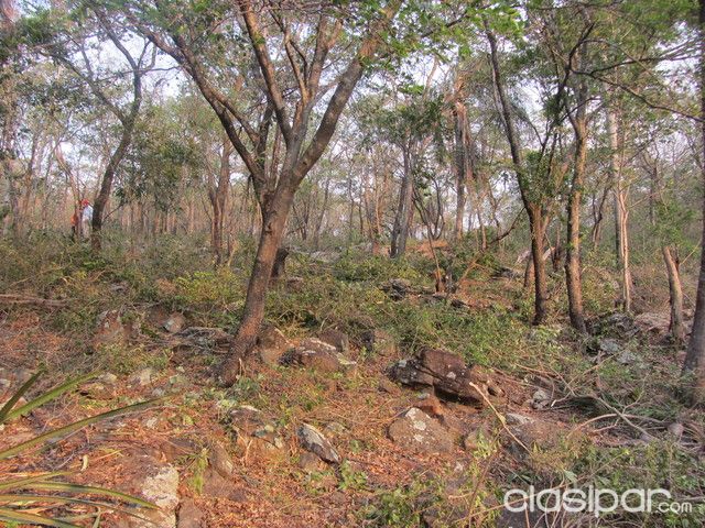 SAN BER CON VISTA AL LAGO 12,5 HAS. PROPIETARIO VENDE — foto 2