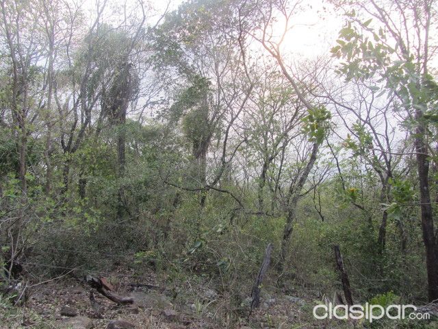 SAN BER CON VISTA AL LAGO 12,5 HAS. PROPIETARIO VENDE — foto 3