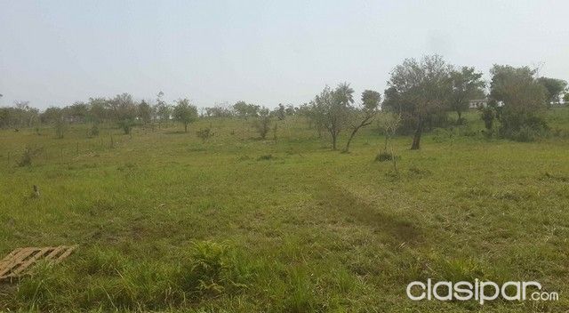 titulado en cde 2 hectareas y media con naciente y arroyo — foto 3