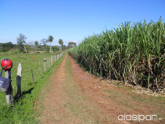 VENDO EN ARROYOS Y ESTEROS - COMPAÑIA MAINUMBY - 20 HECTAREAS — foto 3