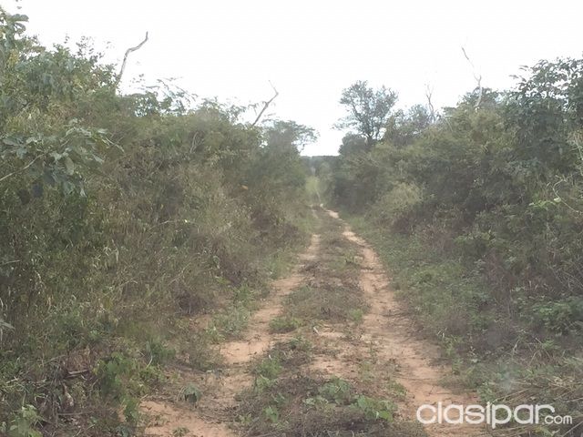 Vendo Propiedad ZONA BAHIA NEGRA ALTO PY. 10.000.mil has. — foto 2
