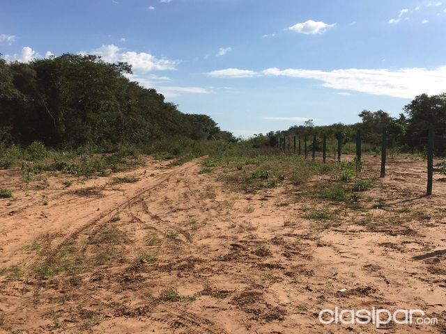 Vendo Propiedad ZONA BAHIA NEGRA ALTO PY. 10.000.mil has. — foto 3