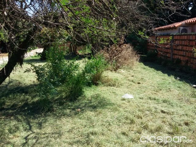 LIMPIO DETRAS DE FERUSA — foto 2