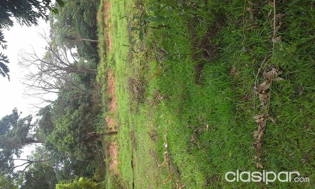VENDO HERMOSO TERRENO!! — foto 3