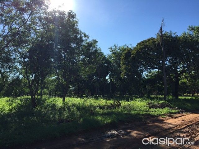 Oferta terreno en Limpio — foto 2