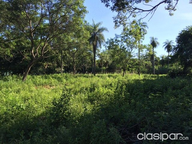 Oferta terreno en Limpio — foto 3