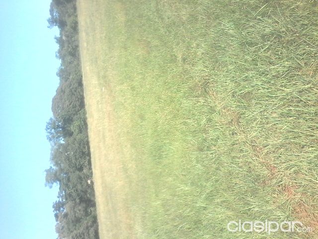 ¡¡APURESE!! ¡¡EL TIEMPO SE TERMINA!! TERRENO CDE — foto 2