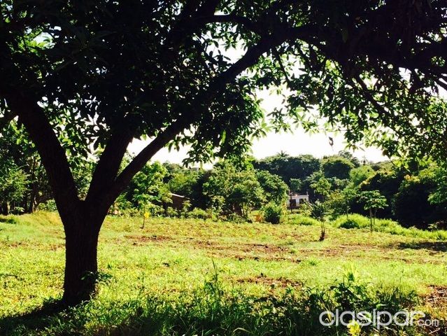 VENDO 2 TERRENOS CERCA DEL LAGO ACARAY — foto 2