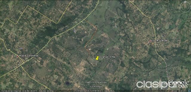 vendo Granja en Loma Grande 73 Hectareas — foto 2