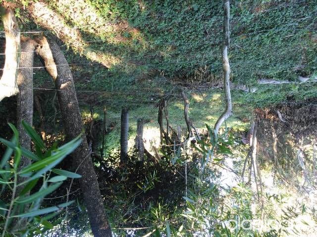 Vendo hermoso terreno en caacupe — foto 3