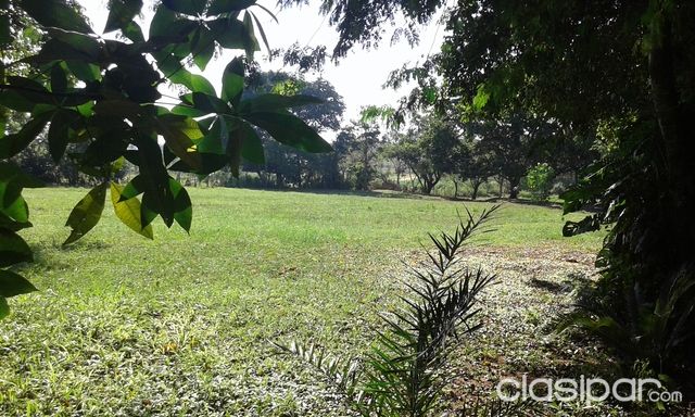 Terreno en Areguá de 2 hectáreas — foto 2
