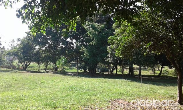 Terreno en Areguá de 2 hectáreas — foto 3
