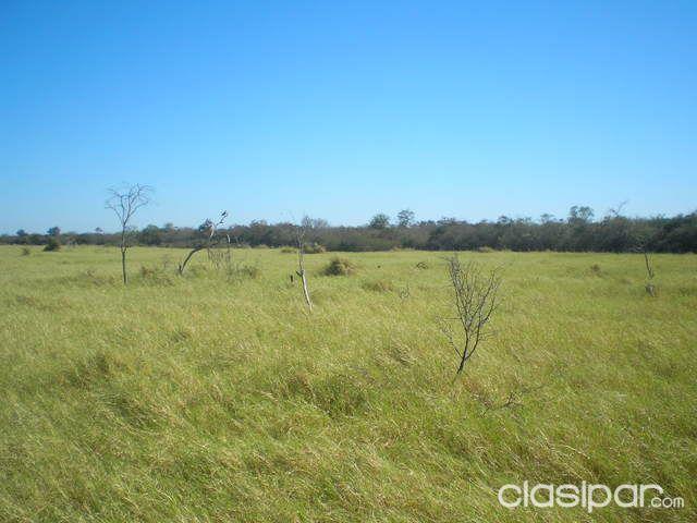 Vendo Estancia Fortin Florida Alto Paraguay-Chaco!!! — foto 2