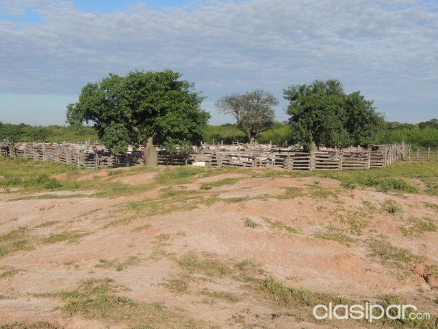 Vendo Estancia Fortin Florida Alto Paraguay-Chaco!!! — foto 3