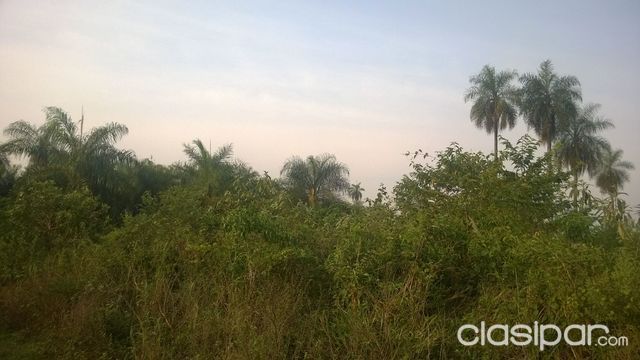 Vendo Propiedades Rurales — foto 2