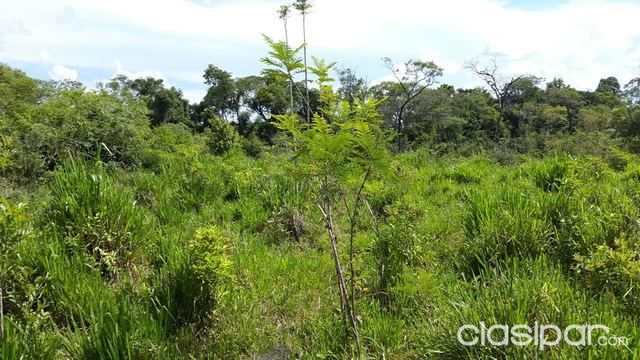 ¡¡¡¡¡¡ TERRENO DE 438 HECTAREAS......ESTANCIA DEPARTAMENTO CAAZAPA (SAN JUAN NEPOMUCENO) — foto 3