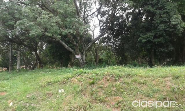 VENDO 2 TERRENOS JUNTOS EN PAI ÑU B MARIA AUXILIDORA — foto 2