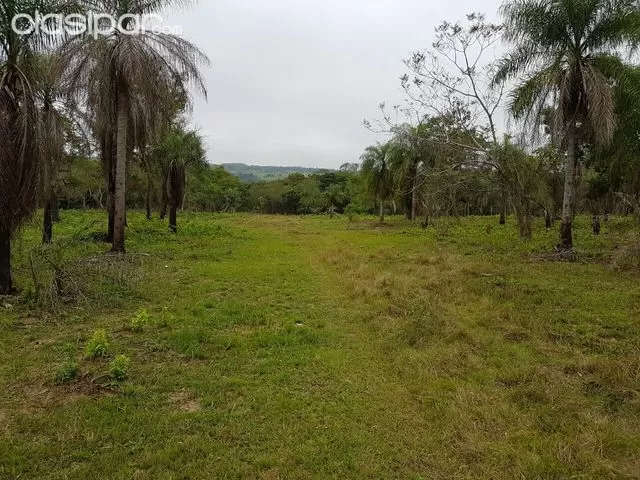 HERMOSOS TERRENOS EN SAN BERNARDINO — foto 2