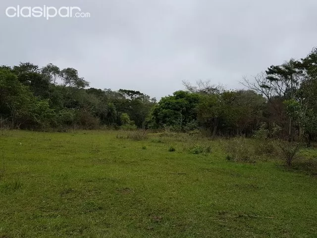 HERMOSOS TERRENOS EN SAN BERNARDINO — foto 3