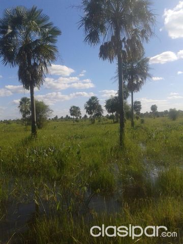 Terreno 120 has. SOBRE RUTA 12 A 10KMS DE NINFA CHACO — foto 2