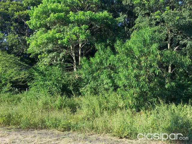 HERMOSO TERRENO PARA CAMPO de 9 HECTÁREAS — foto 3