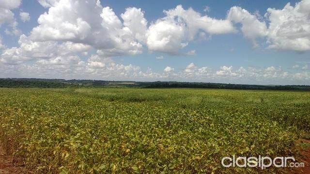 VENDO TERRENO 95 HECTAREAS BELLA VISTA ITAPUA — foto 2