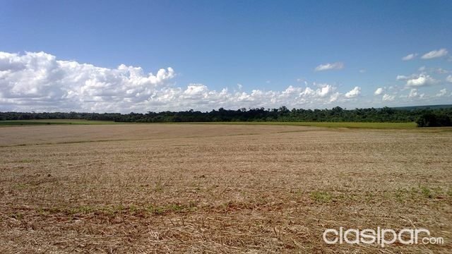 Bella Vista Itapúa Fordi.í 5 Total 20 Hectareas — foto 3