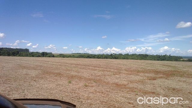 Bella Vista Itapúa Fordi Total 46 hectareas — foto 2