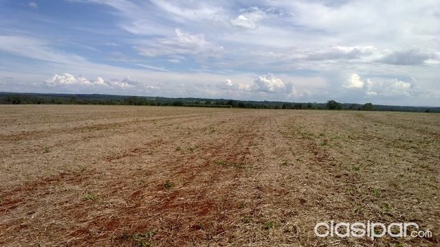 Bella Vista Itapúa Fordi Total 46 hectareas — foto 3