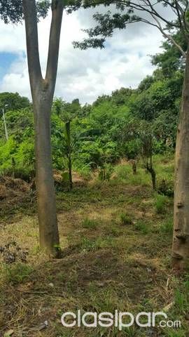 vendo terreno en mariano roque alonso — foto 3