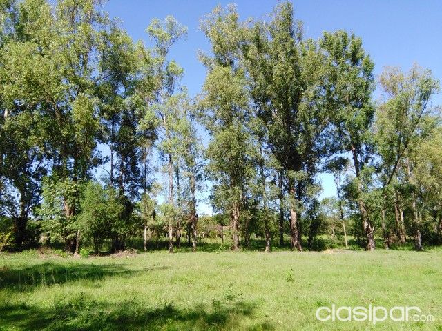 ESPECTACULAR TERRENO EN LA CIUDAD DE PIRAYU, A 100 mts DE RUTA ASFALTADA. — foto 2
