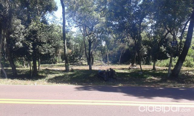 Propiedad en piribebuy a 40mts de la entrada del parador chololo sobre ruta — foto 3