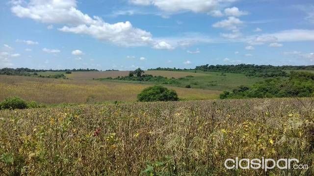 84 Ha. - La Paz - Itapúa. — foto 2