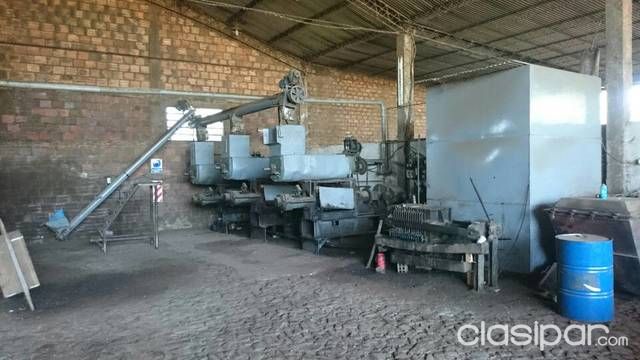 Liquido fabrica procesadora de coco — foto 2