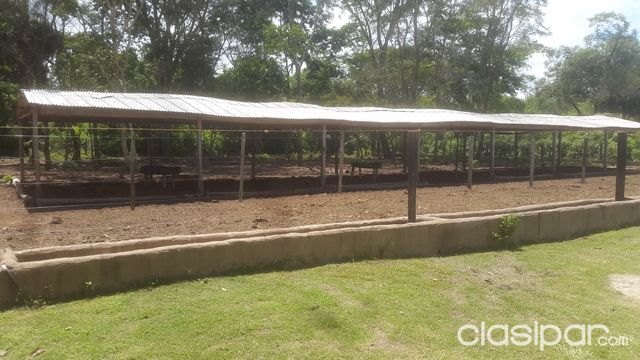 SANTANI - ESTANCIA FORMADA PARA GANADERÍA ENGORDE INTENSIVO, SEMI INTENSIVO Y AGRICULTURA (AGROGANADERA) — foto 2