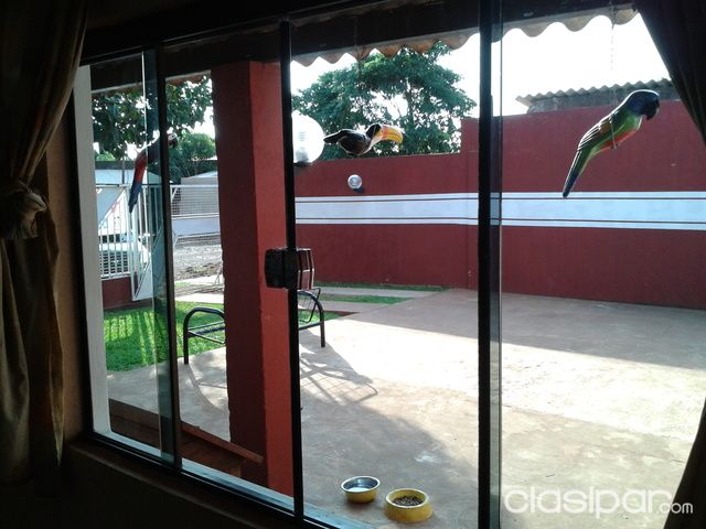 Vendo Casa Pedro Juan Caballero — foto 2