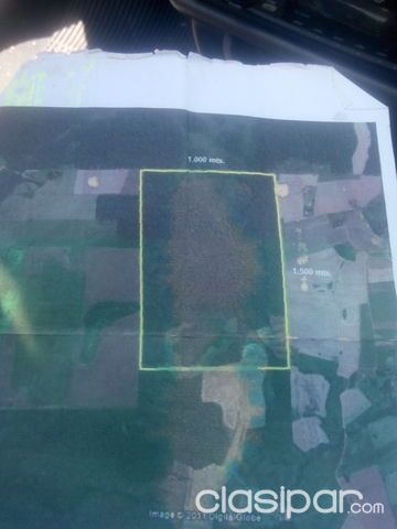 VENDO HERMOSA PROPIEDAD DE 150 HECTAREAS EN SANTA TERESA TIERRA ALTAMENTE PRODUCTIVA — foto 3