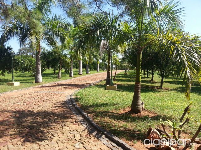 Vendo hermosa quinta en la ciudad de Aregua!! — foto 3