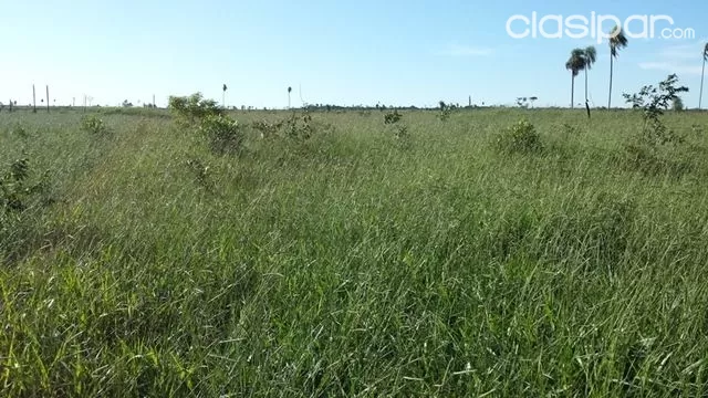 1.330 hectáreas para Soja yo ganaderia totalmente formado! – zona Horqueta — foto 2