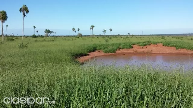 1.330 hectáreas para Soja yo ganaderia totalmente formado! – zona Horqueta — foto 3