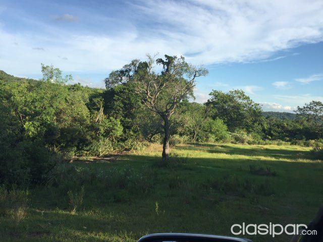 Vendo terreno en compañía Pedrozo — foto 2