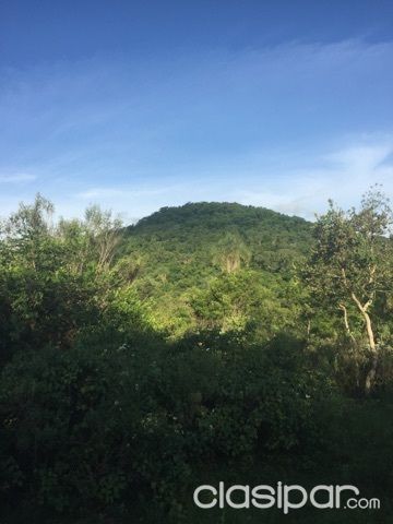 Vendo terreno en compañía Pedrozo — foto 3