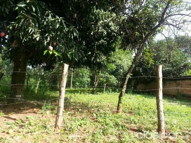Hermoso terreno titulado 12 X 30 en aregua — foto 2