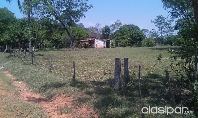 VENDO LOTE DE 7 hectáreas a 20km de la ciudad de Cnel. Oviedo!! — foto 2